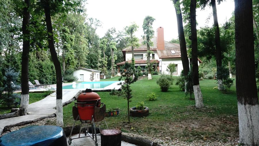 Vila superba in Padurea Baneasa, curte 5000 mp, piscina exterioara - 40
