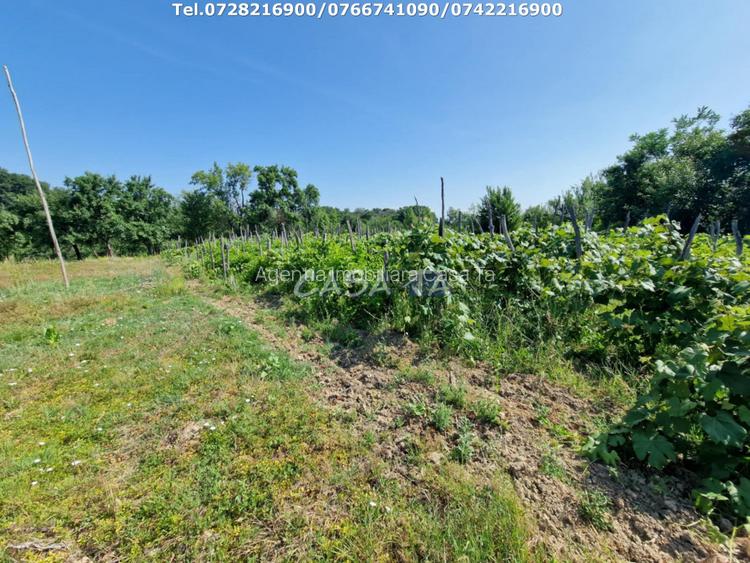 Casa 3 Camere + Teren si Anexe, Tirculesti- Danesti - 14