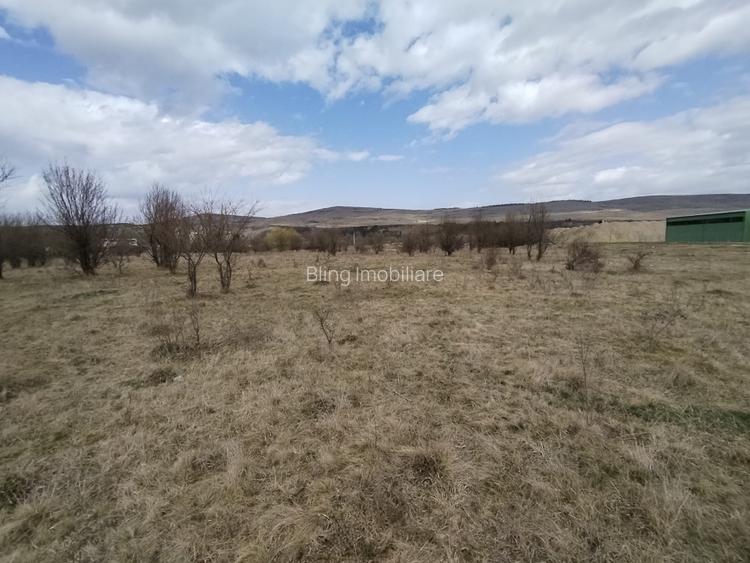 Teren de vanzare, 1.3HA., utilitati, acces din DN  - 2