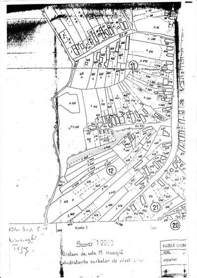 Teren intravilan 2927 mp - com. Domnesti sat Teghes - 12