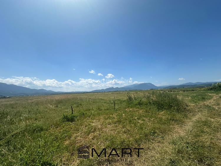 Teren Intravilan Rasnov 7.500 mp - 6