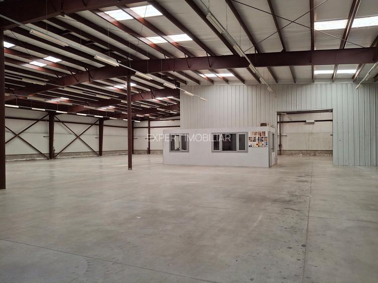 Hala productie /depozitare spatii cazare Branesti/Makita - 7