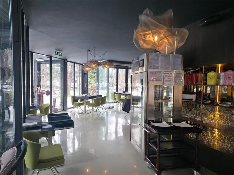 Vanzare spatiu comercial/restaurant/afacere la cheie  Nordului - Herastrau Parc, - 5