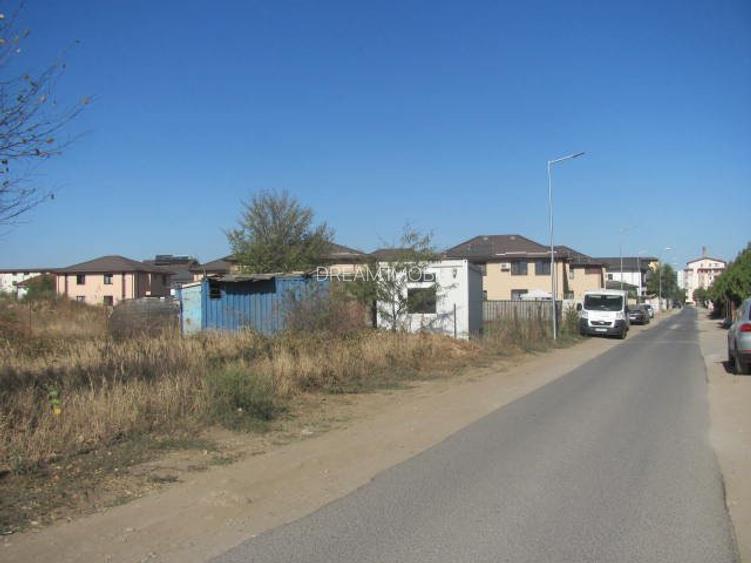 prelungirea Ghencea Iernii - 6