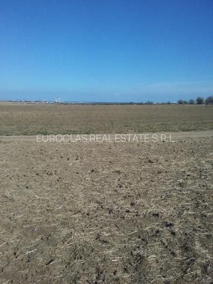 Exclusiv! Teren extravilan 10.000 mp - Cumpana - Malul canalului (Cod E3) - 5