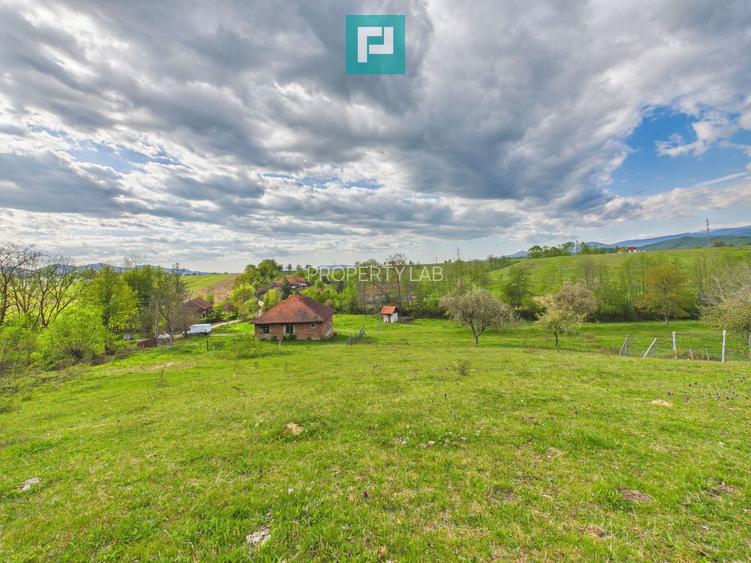 Casă cu teren de 17.681 mp, în loc. Hălmăgel, Arad - 26