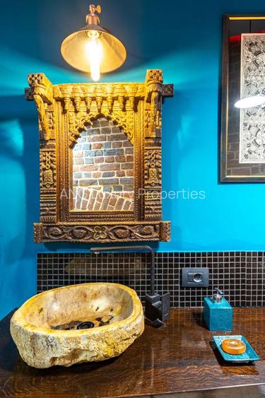 Pache Protopopescu | Casă 12 camere | Arhitectură deosebită - 30