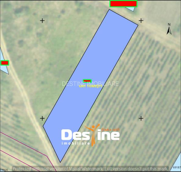 Teren Chicerea, 1250 mp, zona in plina dezvoltare, 25 euro/mp - 4