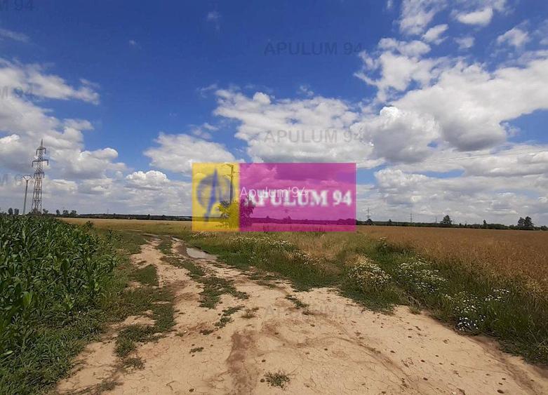 Teren 715mp în Snagov lângă Equestria - 45