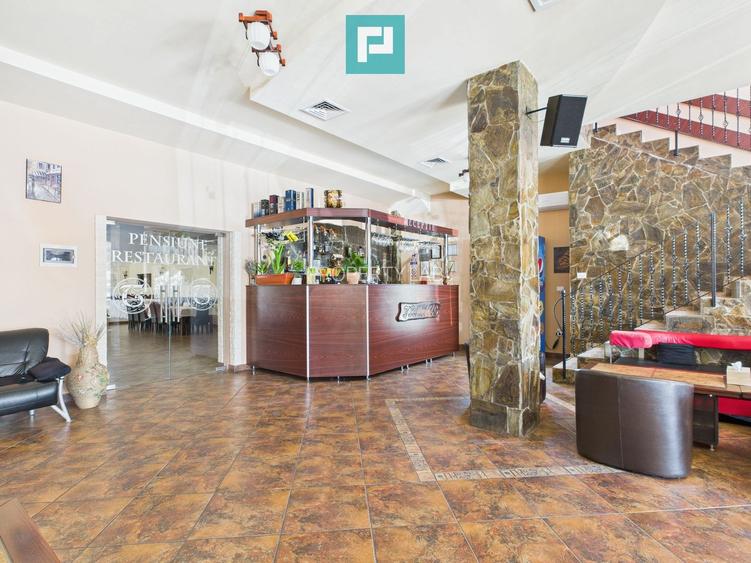 Pensiune la Orțișoara - 2