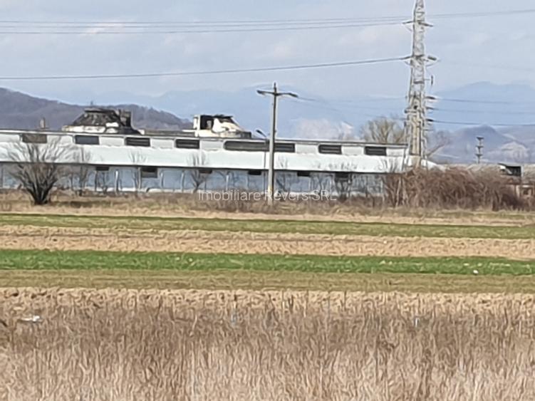 TEREN AGRICOL BABENI LANGA ABATOR LA PROVINCIA - pretabil ferma cu panour solare - 29