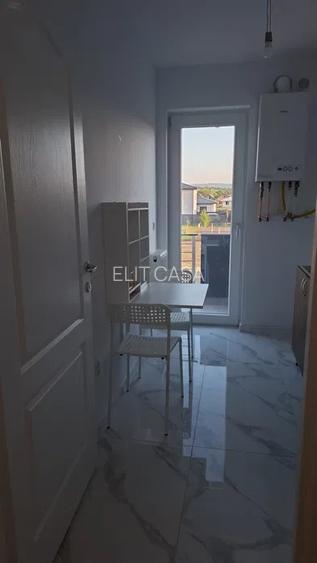 Apartament cu 1 cameră, decomandat, zona Lunca Cetățuii - 2