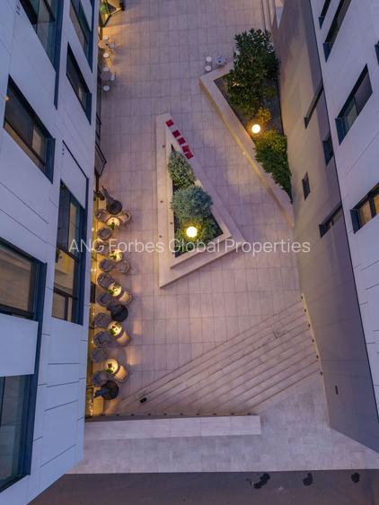 Investitie Ideala Airbnb 2 Camere Herastrau - 33