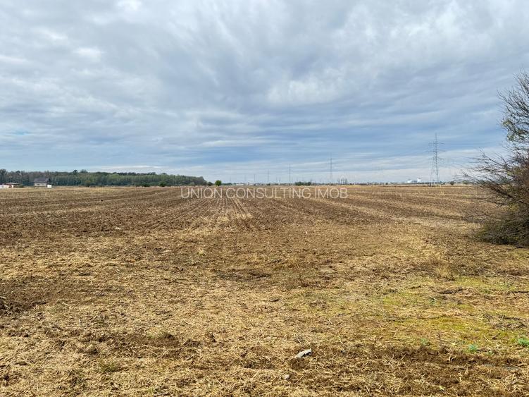 MAGURELE iF LOCALITATEA PRUNI ,LOTURI DE VANZARE - 6