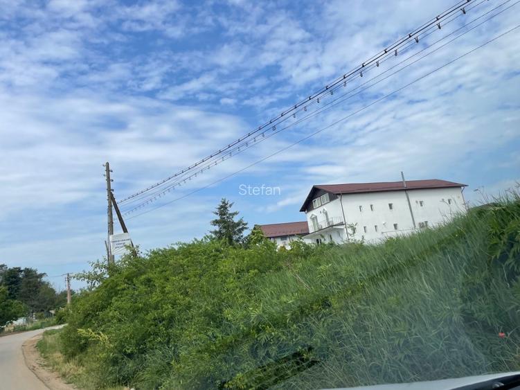 Teren Piscu intravilan,12500 mp, 15 euro mp, 30 m deschidere, toate utilitatile - 2
