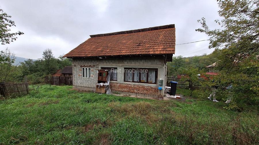 Casa de Vanzare Baiculesti Arges - 3
