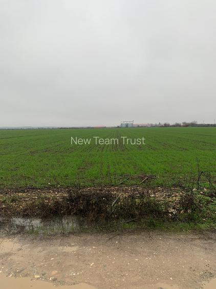 Stefanesti Teren Industrial -  Teren Mixt  Scompacta Dascalu - Gaesti - 4