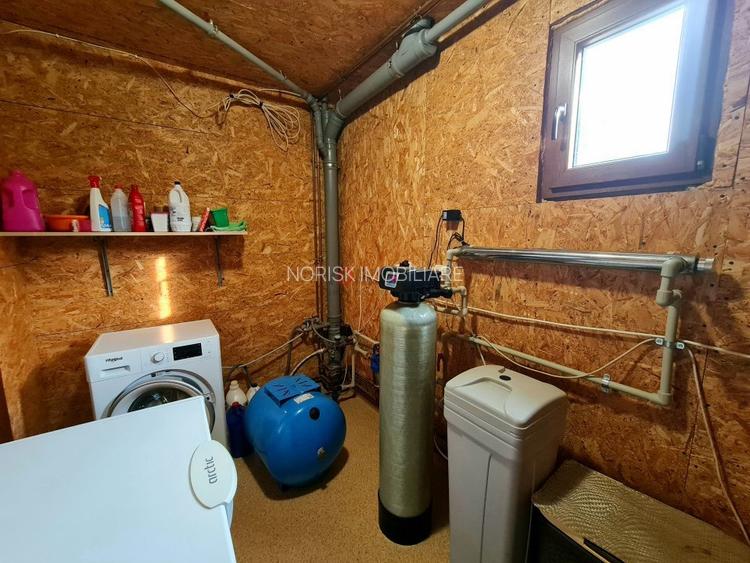 Vila + Afacere 15.000mp Clinceni - 25