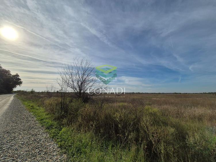 Teren de vanzare Padurea Baneasa 7.500 mp - 4