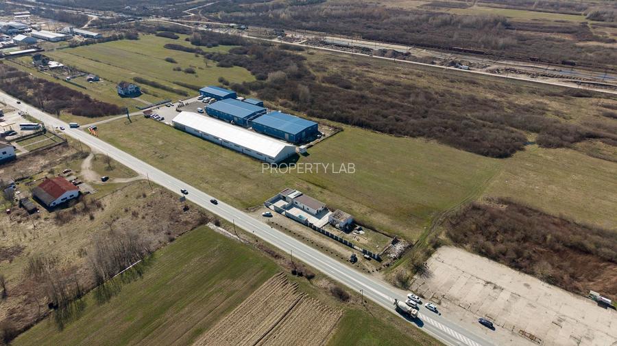 Teren extravilan de 7.000 mp lângă Păltiniș - 6