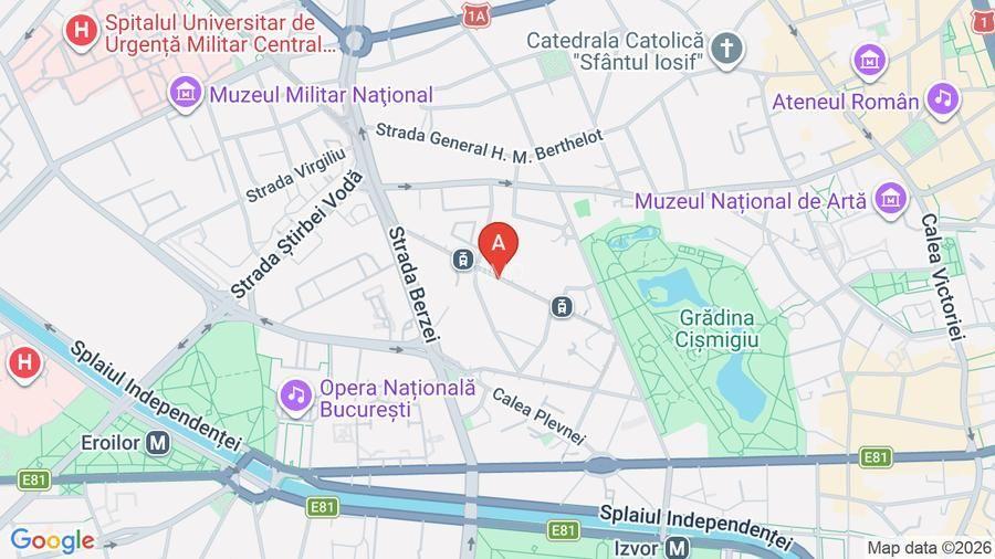 Apartament Cismigiu / Cobălcescu - 5