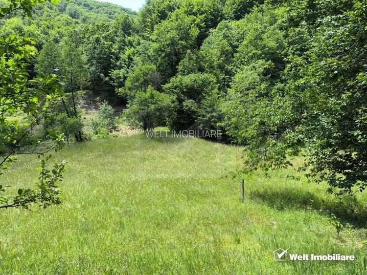 Casa de vacanta, cu lac, 5640 mp teren, Huta, com. Chiuiesti, jud. Cluj - 31