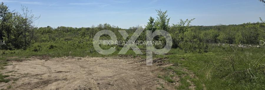 Teren 3015 mp Moșoaia | Zonă liniștită lângă pădure | Ideal casă | 16,9 €/mp - 5