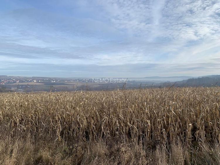 Teren intravilan de vânzare | Cajvana | 7.800 mp - 5