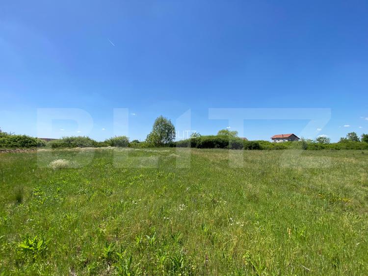 Teren intravilan Mosnita Noua  740mp Front 19m investitie zonă  în dezvoltare - 5