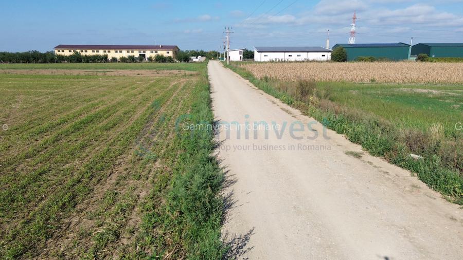 Teren intravilan de vanzare, 66400 mp, langa Oradea, Bihor  - 15