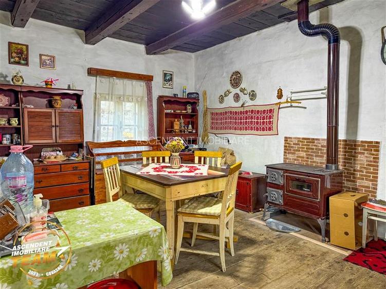 FILM! Proprietate traditionala,de poveste,cu 3.000 mp teren intravilan,Zagon,Cov - 7