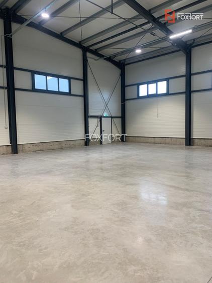 Hala industriala 500 mp + birouri, 1398 mp teren, acces TIR - Giarmata Vii - 29