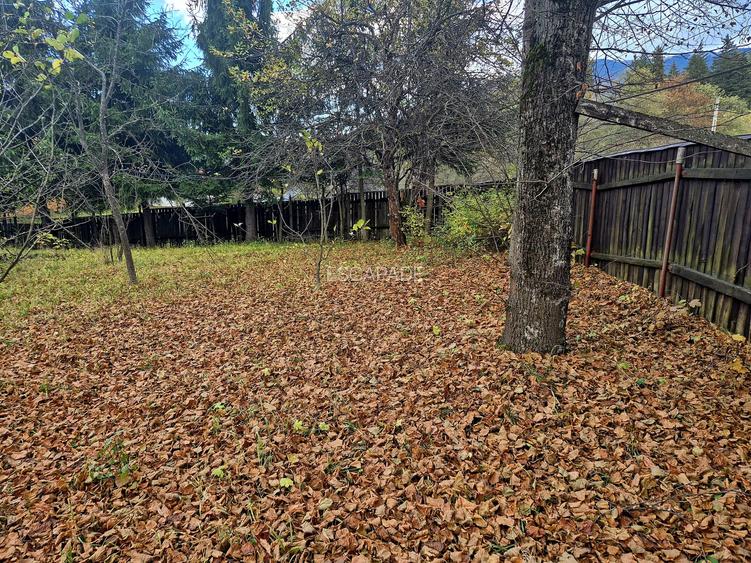 Casa de vacanta Timisu de Sus/Brasov/Oportunitate investitie - 12