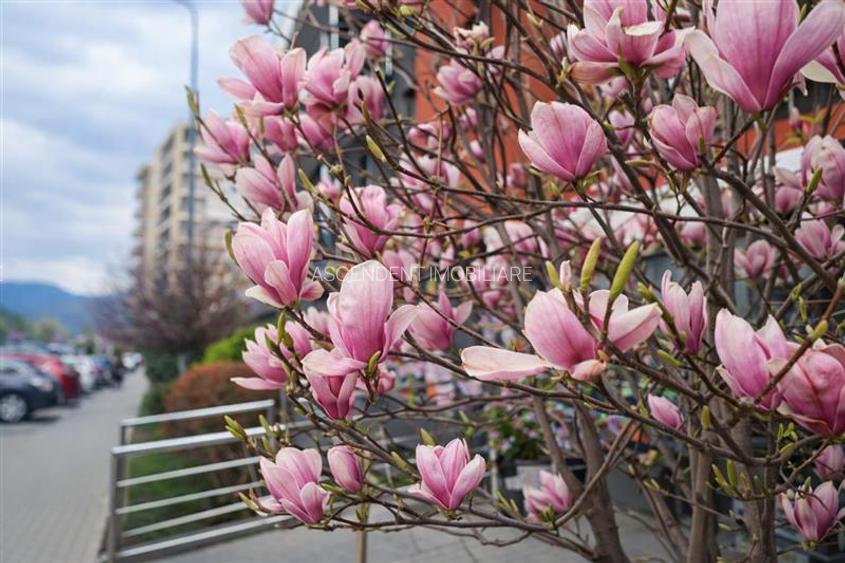 Urban Pentha - Rezidenta Premium,vedere  deschisa,100 mp, 2 bai, garaj, boxa, Tr - 17