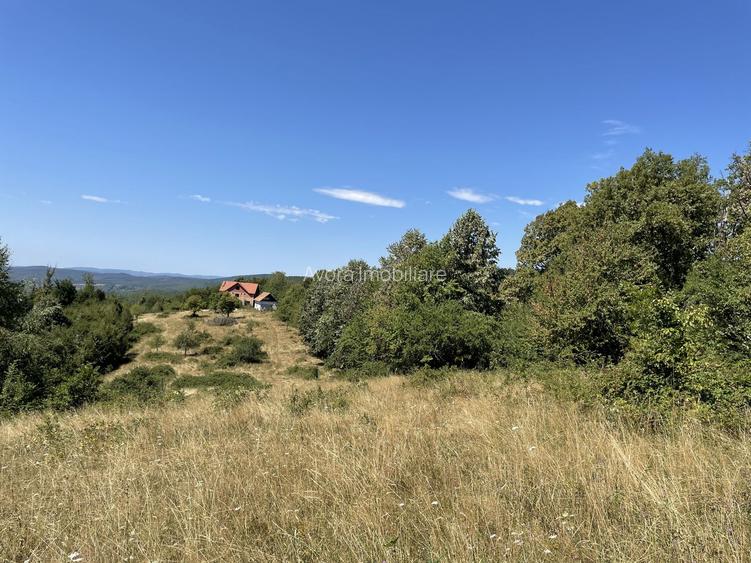 Teren Extravilan în mijlocul naturii. - 18