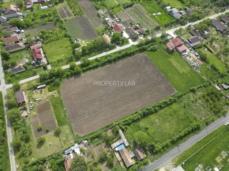 Teren Intravilan de 3,090 mp în Cuvin - 5