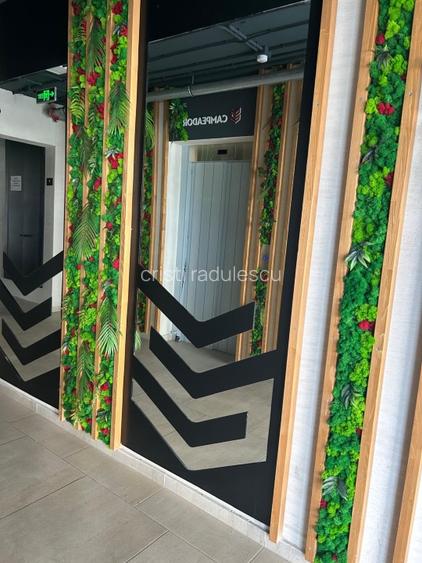 Închiriez apartament nou 2 camere Torontal - 4