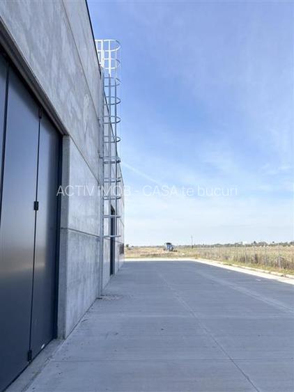 Hale industriale de vanzare – Oradea, adiacent Parcului Industrial I - 8