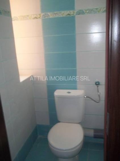 Dumbravita 2 camere 350 euro - 9