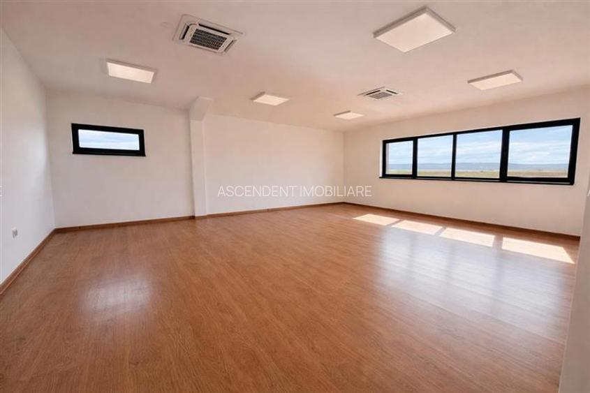 Hala productie premium+pachet afacere, domeniu de 4.700 mp teren,Solovastru, Mur - 5