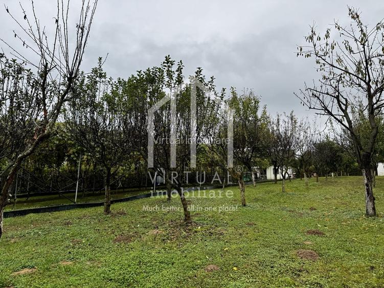 Teren intravila, 1079mp, destinatie casa de vacanta, Rasinari - 3