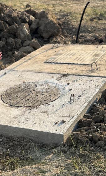 Teren 1650 mp intravilan Trivale - Olteni – cadru natural langa Padure - 4