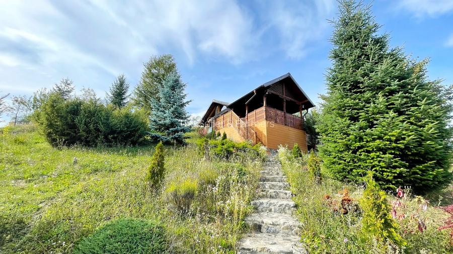 Complex de 3 case pe 18000 mp teren - 56