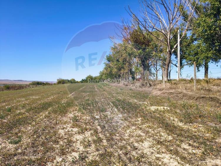 Teren extravilan de vanzare in Tulcea - 6