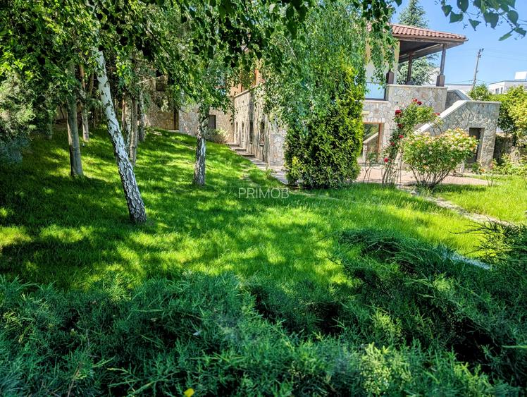 Mogosoaia,vila robusta cu vedere spectaculoasa catre lac,palat,parc,1750mp teren - 10