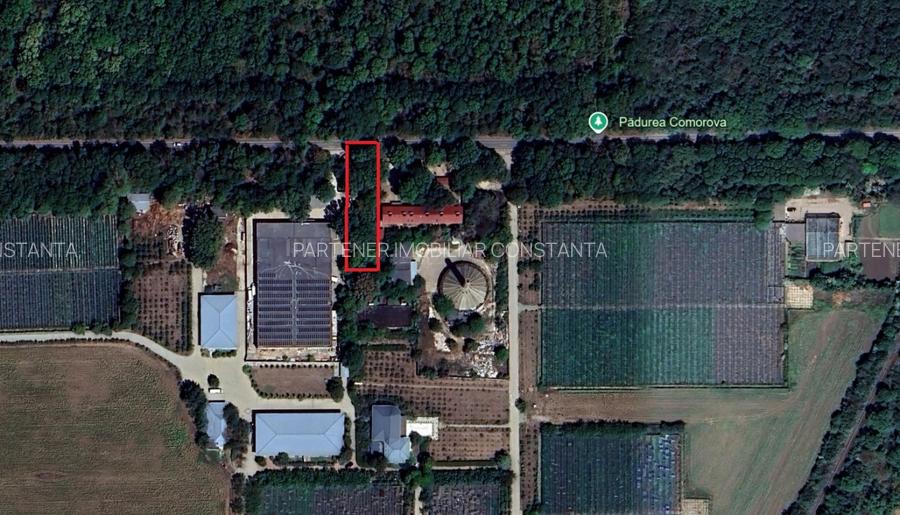 Neptun - Teren construibil in Padurea Comorava - 3