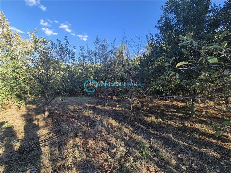 Royal Imobiliare - Vanzare Vila Zona Paulesti - Gageni - 42