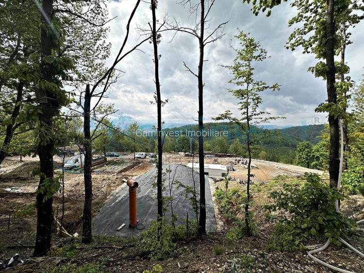 Casa noua cu teren 2,7 hectare in zona montana Apuseni, Bihor - 7