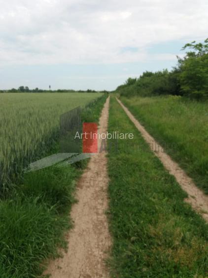 Teren Buftea cu iesire la lac - 4