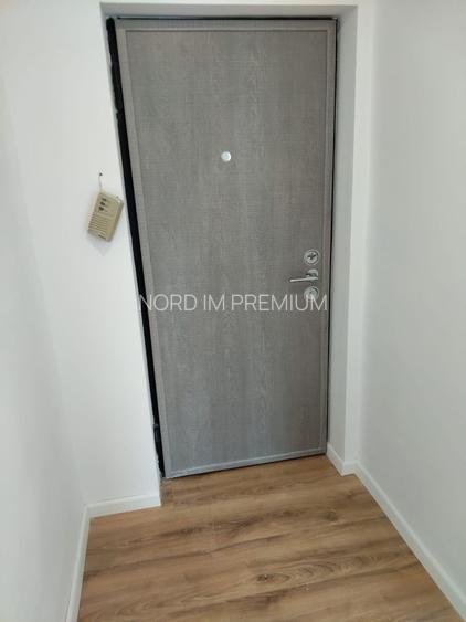 Apartameent 3 camere Valea ialomitei - 12
